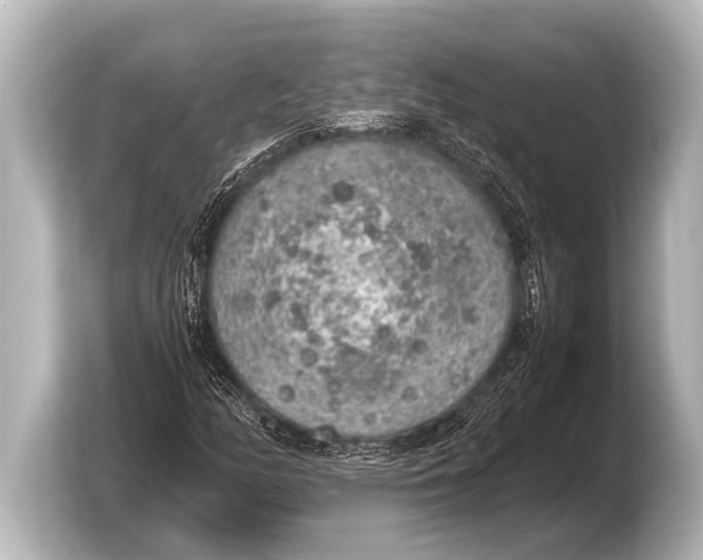 X0000103431158200810031345