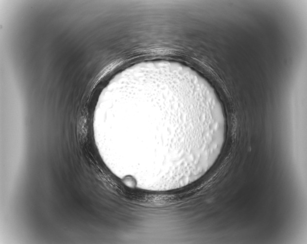 X0000103431163200810031345