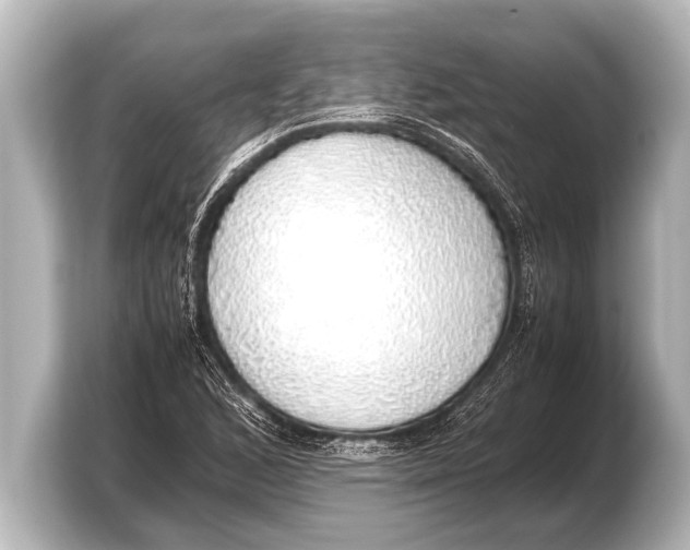 X0000103431168200810031345