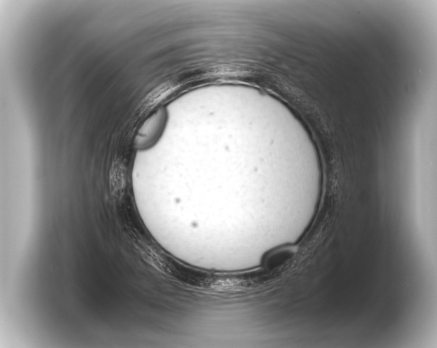 X0000103431169200810031345