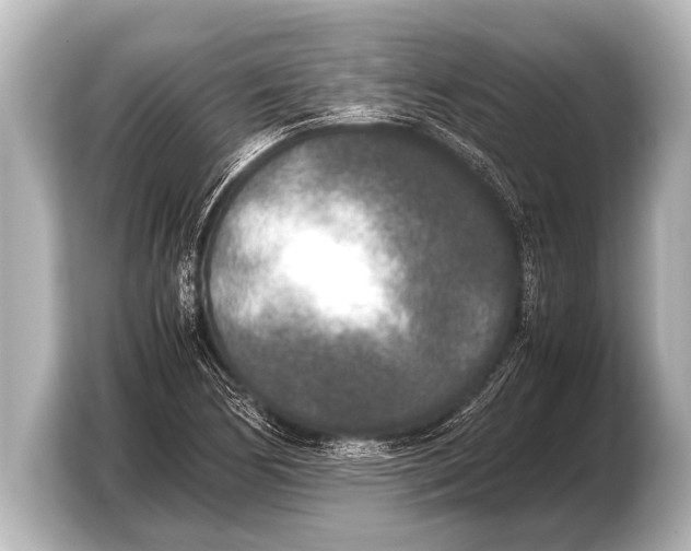 X0000103431170200810031345