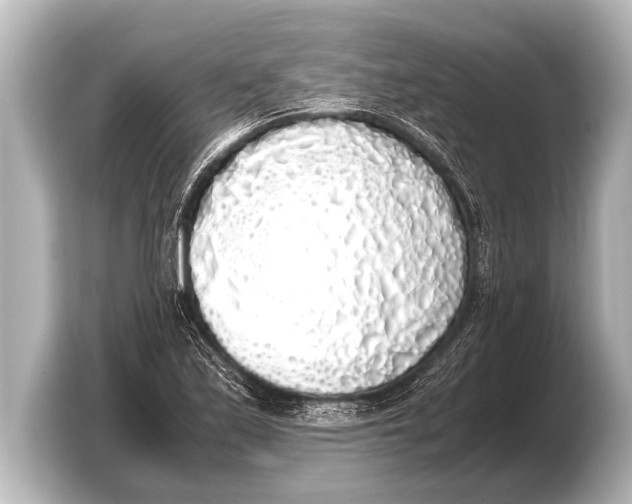 X0000103431171200810031345