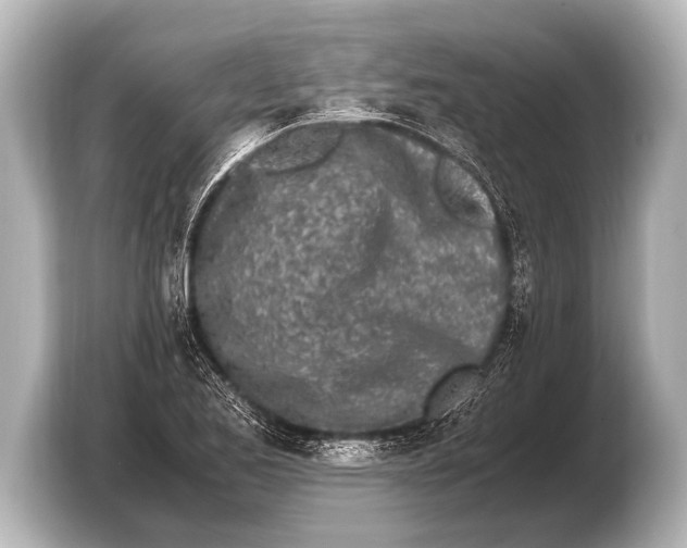 X0000103431173200810031345