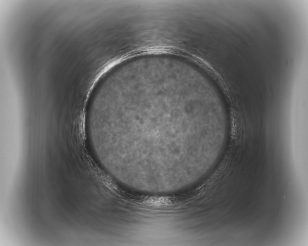 X0000103431174200810031345