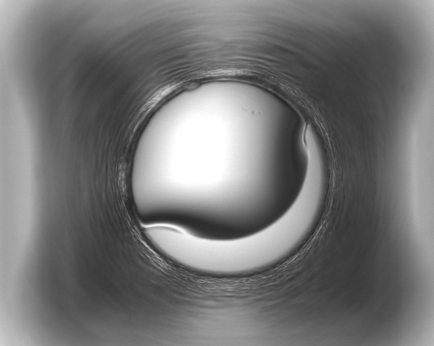 X0000103431177200810031345