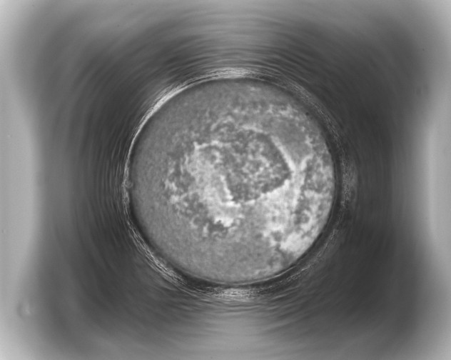 X0000103431178200810031345