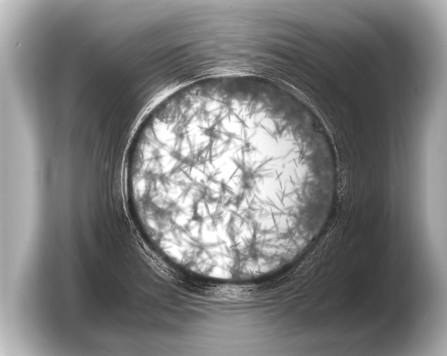 X0000103431179200810031345