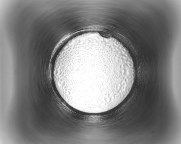 X0000103431180200810031345