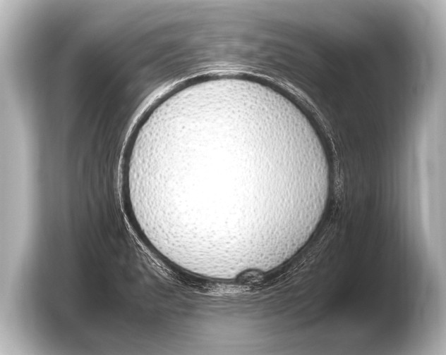 X0000103431183200810031345