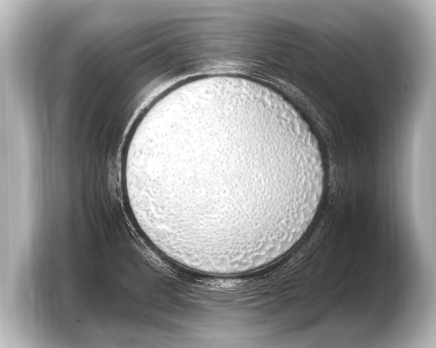 X0000103431184200810031345