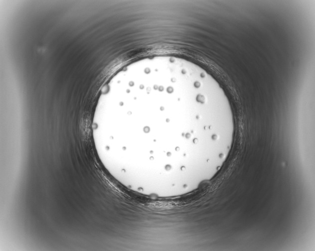 X0000103431185200810031345