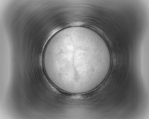 X0000103431186200810031345