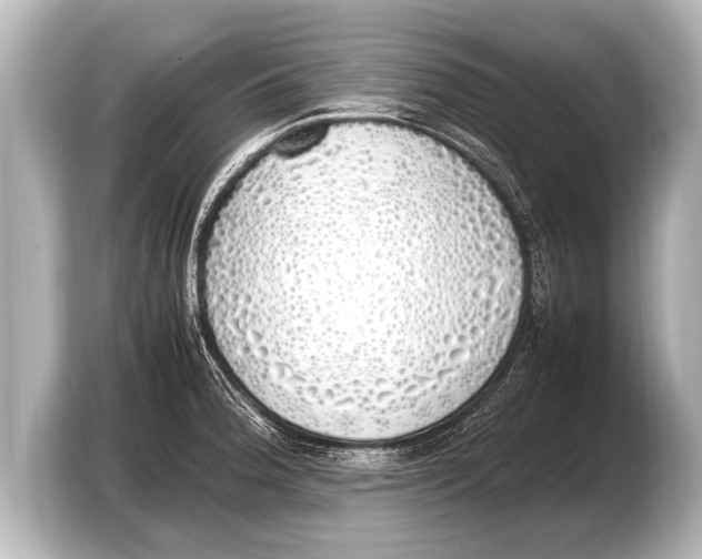 X0000103431188200810031345