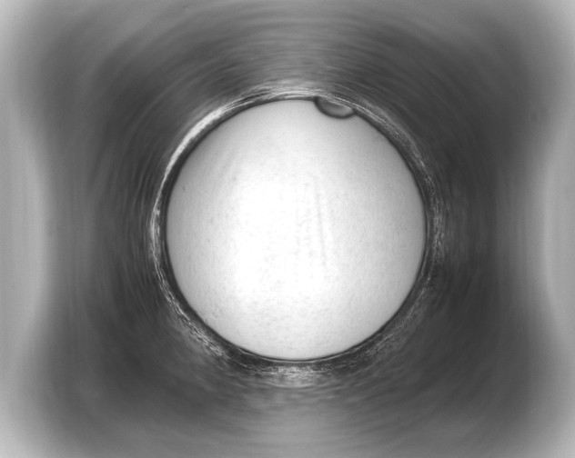 X0000103431190200810031344