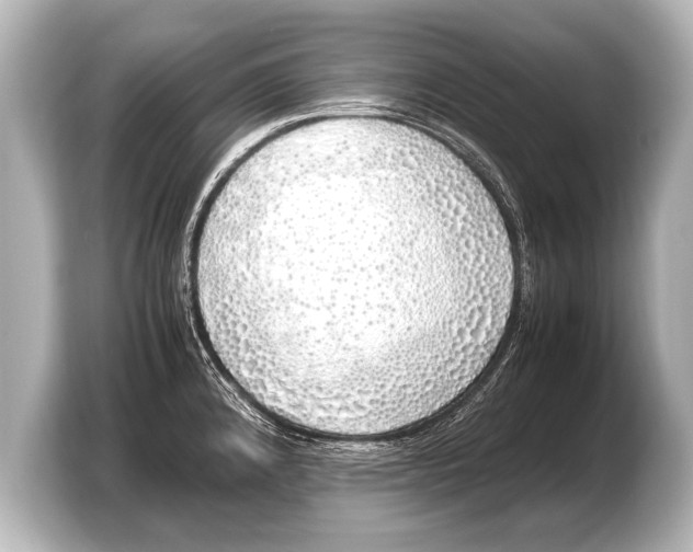 X0000103431192200810031344