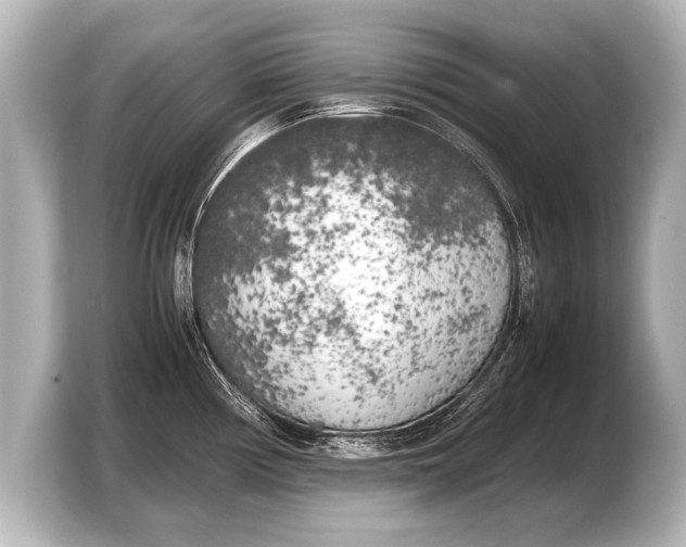 X0000103431194200810031344