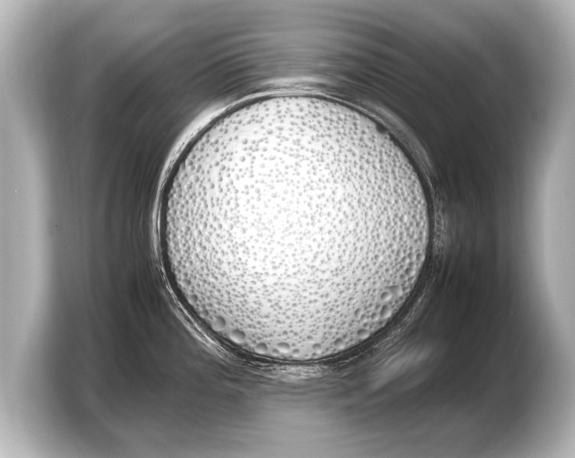 X0000103431196200810031344