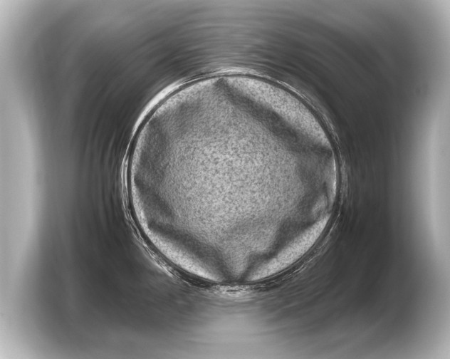 X0000103431198200810031344