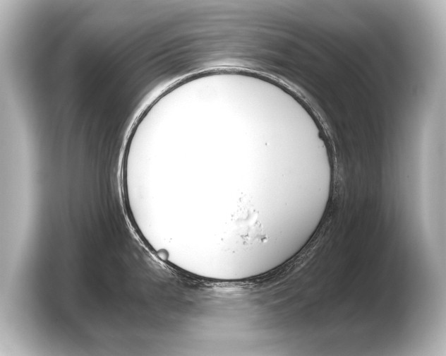 X0000103431199200810031344