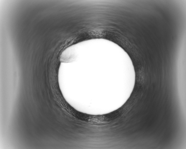 X0000103431201200810031344