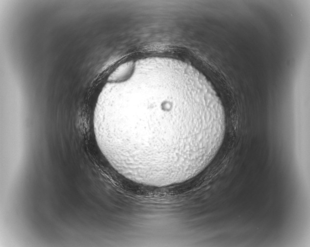 X0000103431206200810031344