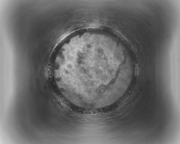 X0000103431208200810031344