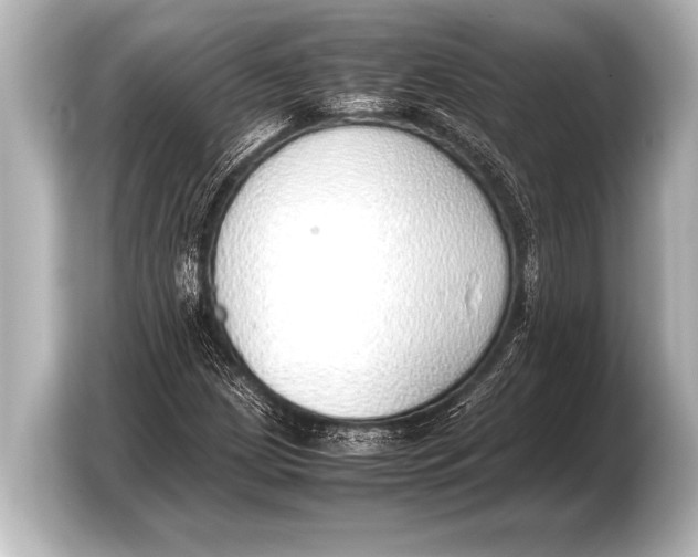 X0000103431209200810031344