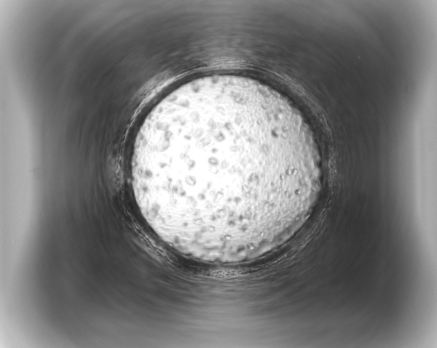 X0000103431212200810031344