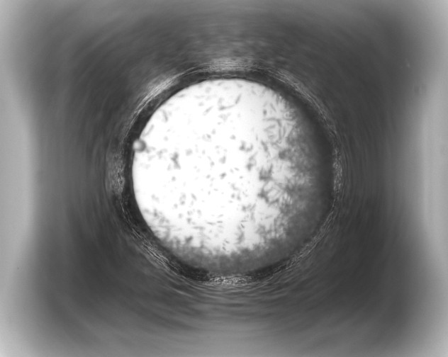 X0000103431213200810031344