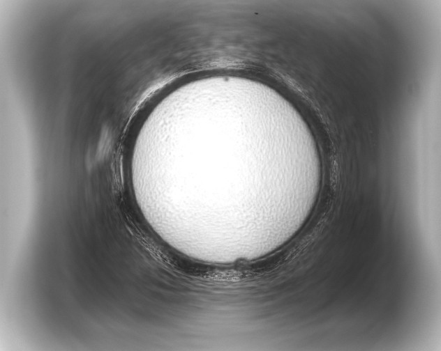 X0000103431214200810031344