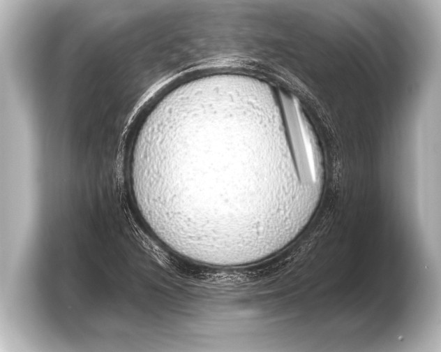 X0000103431216200810031344