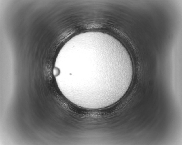 X0000103431217200810031344