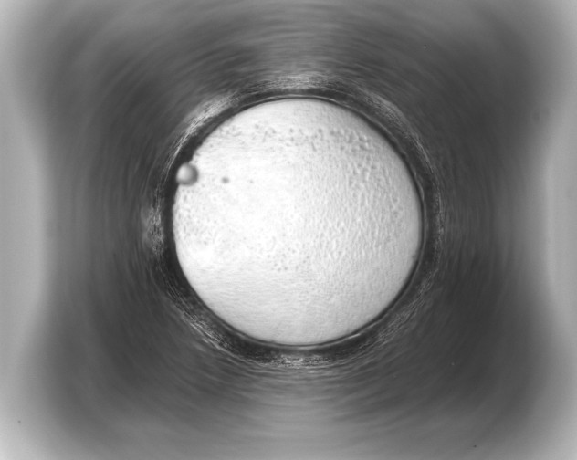 X0000103431218200810031344