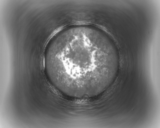 X0000103431221200810031344