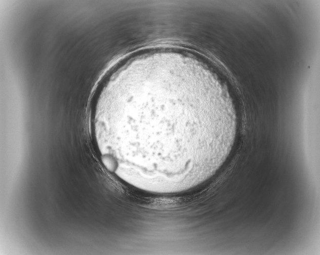 X0000103431224200810031344