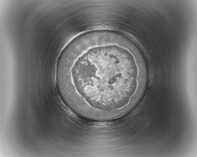 X0000103431228200810031344