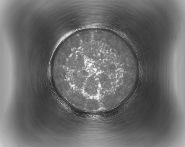 X0000103431230200810031344