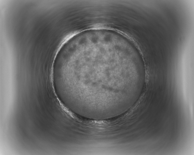 X0000103431231200810031344