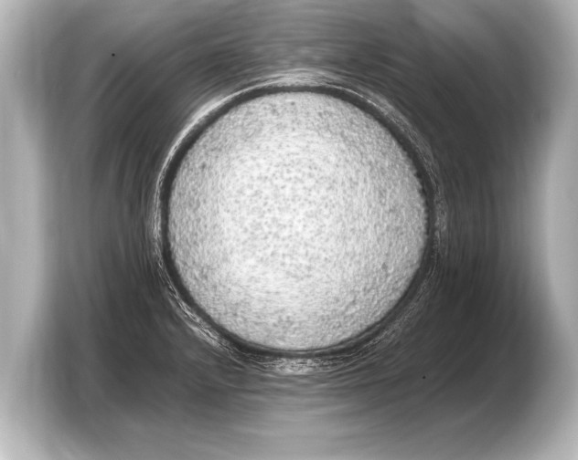 X0000103431232200810031344