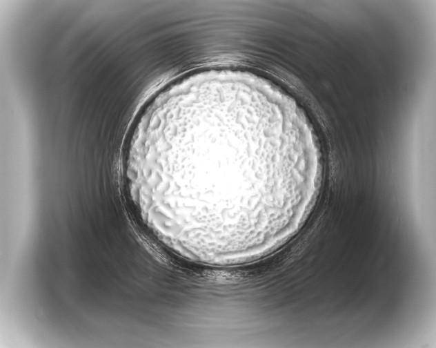 X0000103431234200810031344