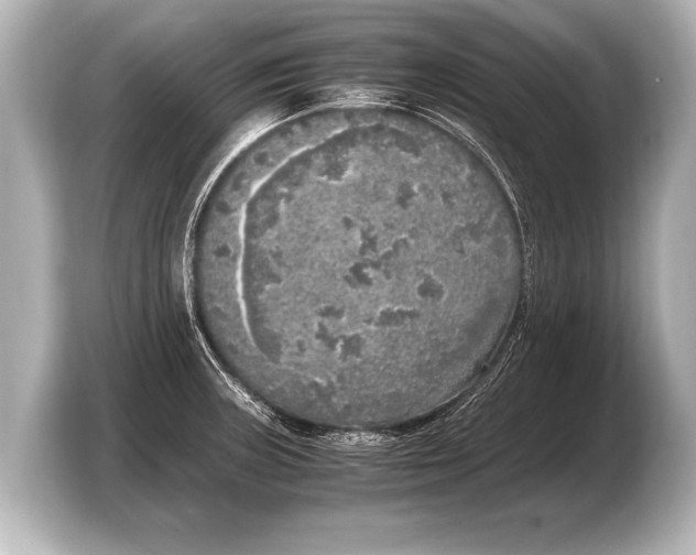 X0000103431235200810031344