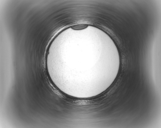 X0000103431236200810031344