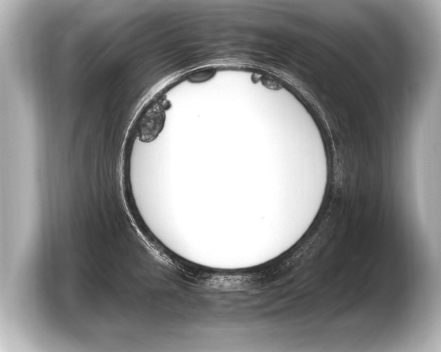 X0000103431237200810031344