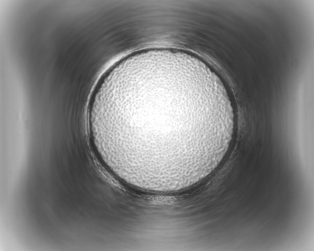 X0000103431238200810031344