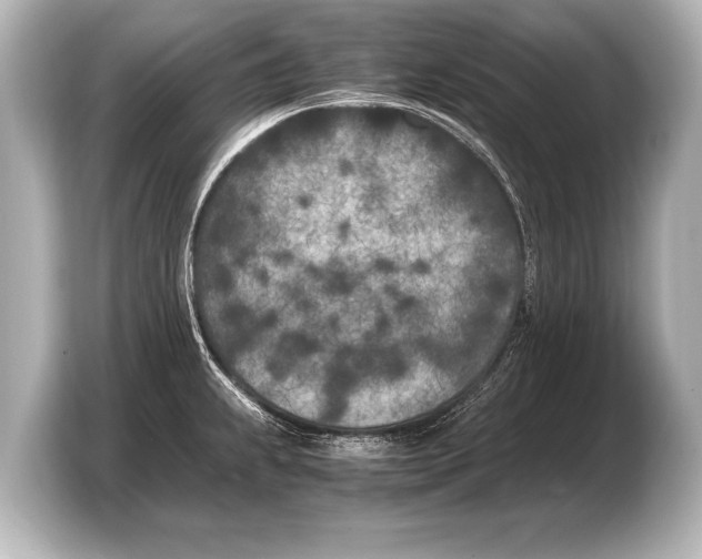 X0000103431239200810031344