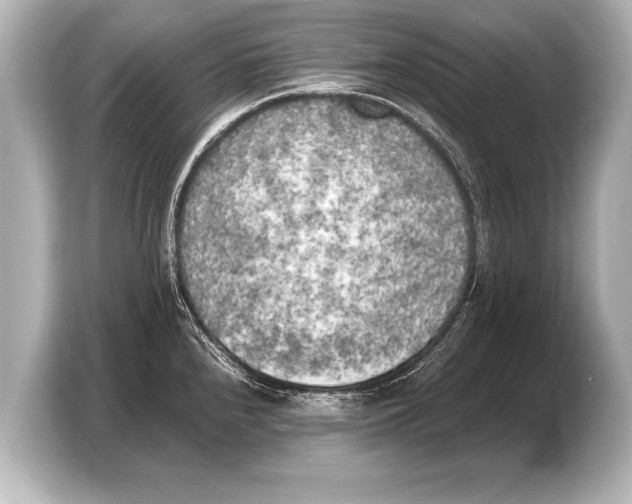 X0000103431240200810031344