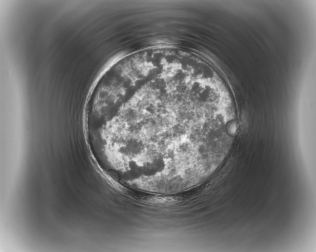 X0000103431243200810031344