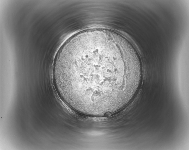 X0000103431244200810031344