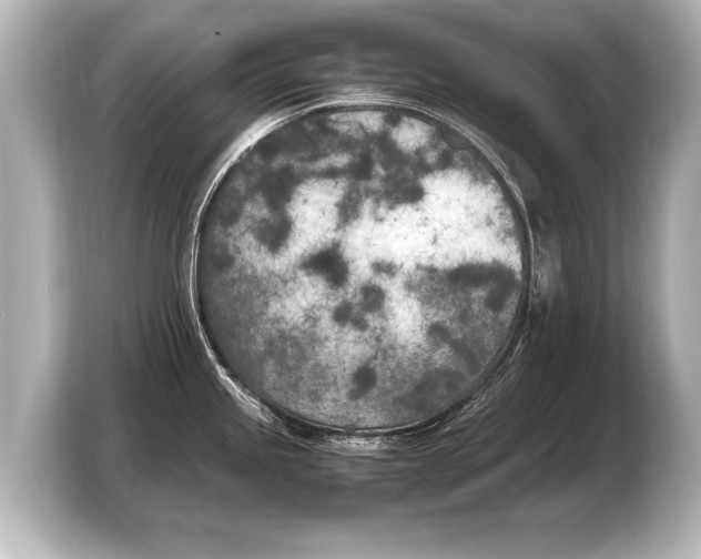 X0000103431245200810031344