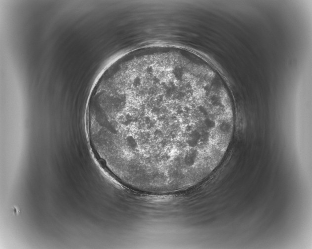 X0000103431247200810031344